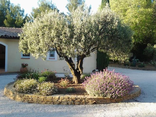 Maison Privee Au Calme Dans Mas Provencal Sanary-sur-Mer Exterior photo